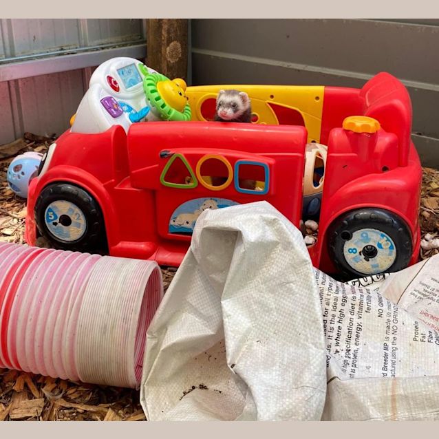 Photo of Agnes, Edith & Margo