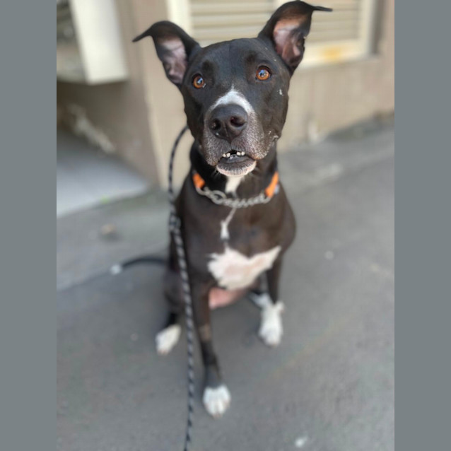 Photo of Bella 