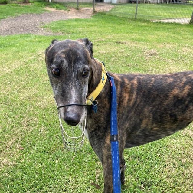 Photo of Mr Sparkles