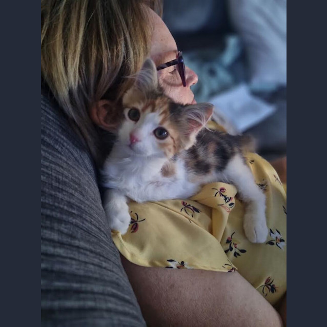 Photo of Trixie