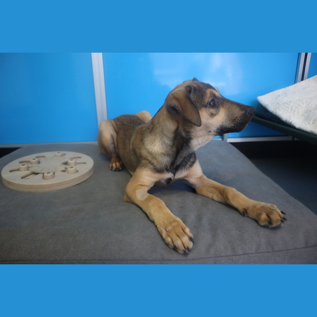 Photo of Athena