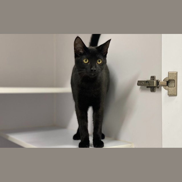 Photo of Lucky