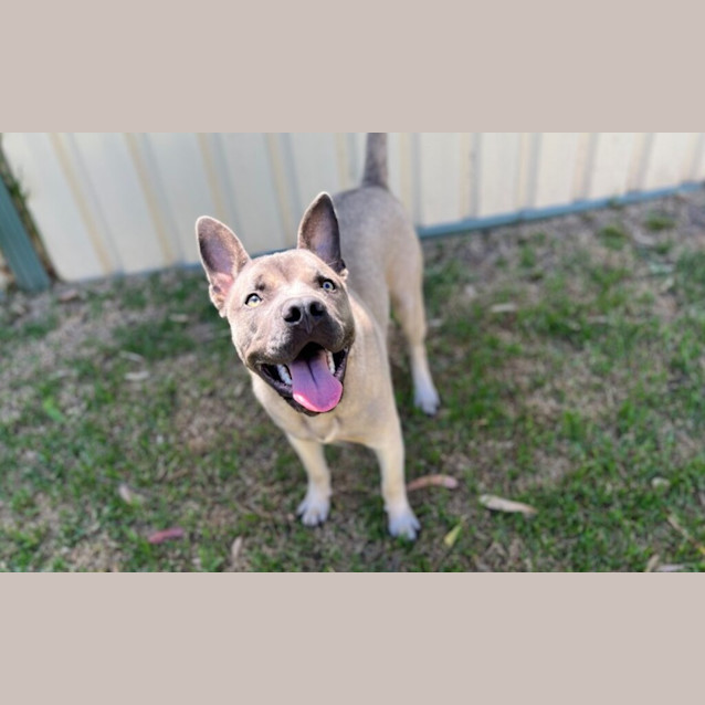 Photo of Zues