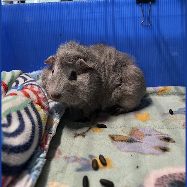 Photo of Spud