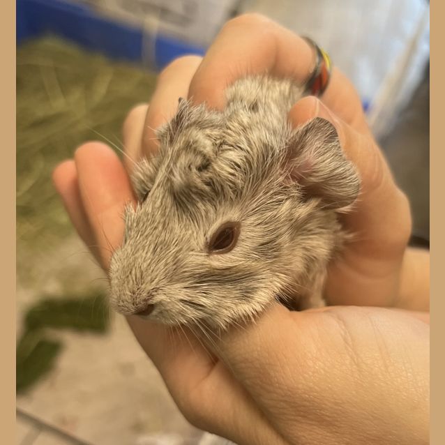 Photo of Spud