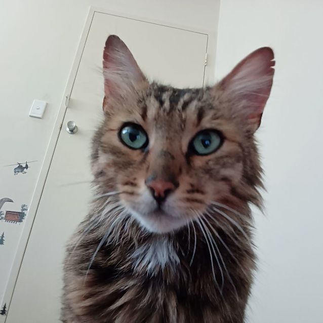 Photo of Raff