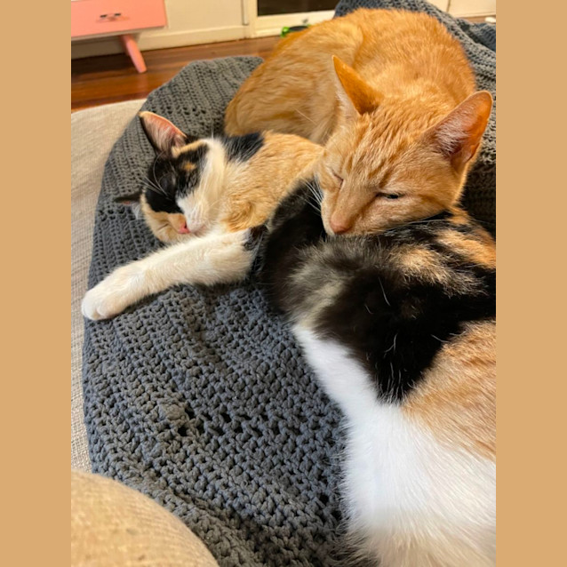 Photo of Callie And Bear