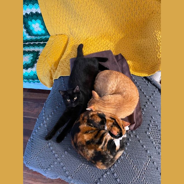 Photo of Callie And Bear