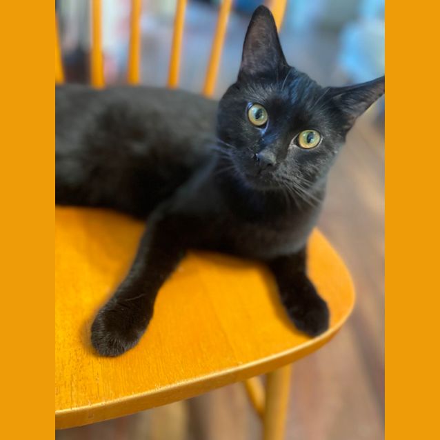 Photo of Callie And Bear