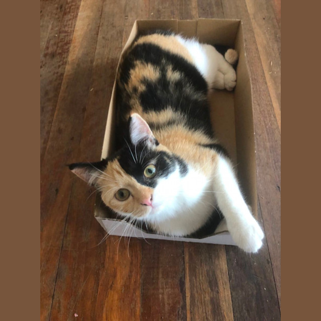 Photo of Callie And Bear