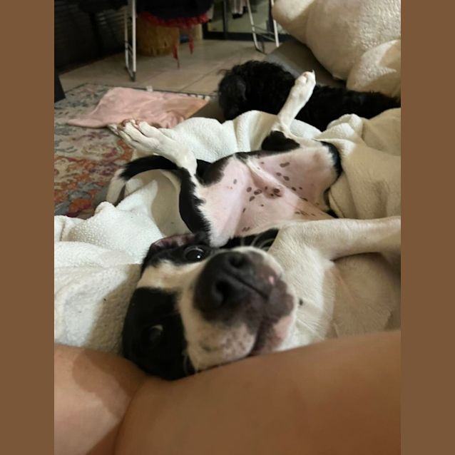 Photo of Jeddie