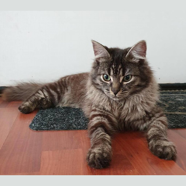 Photo of Oona