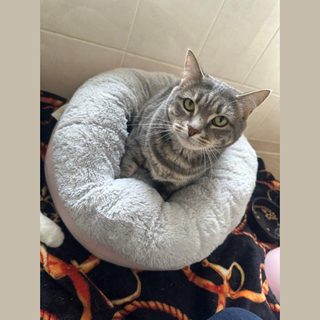 Photo of Zilla Babbington