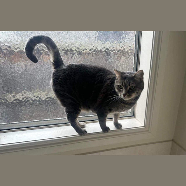 Photo of Zilla Babbington