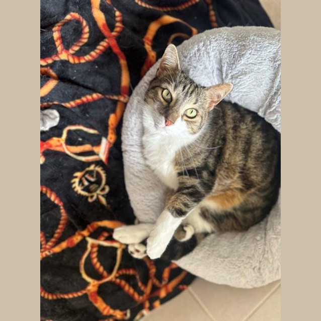 Photo of Salem Babbington