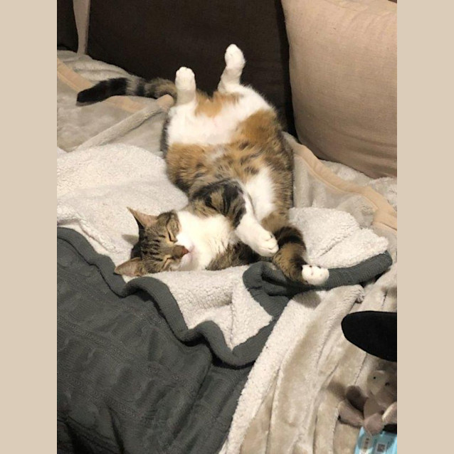 Photo of Salem Babbington