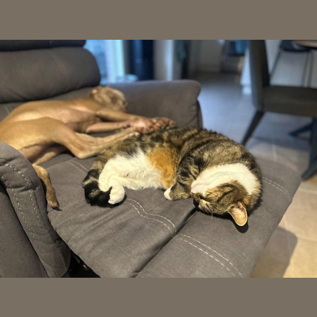 Photo of Salem Babbington