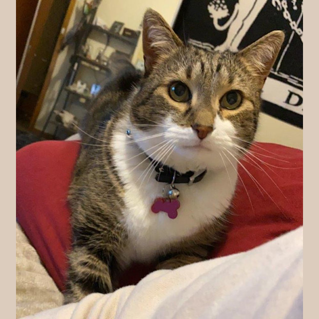 Photo of Salem Babbington