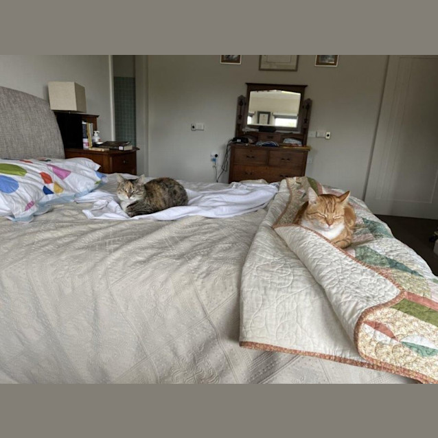 Photo of Nala Applegate