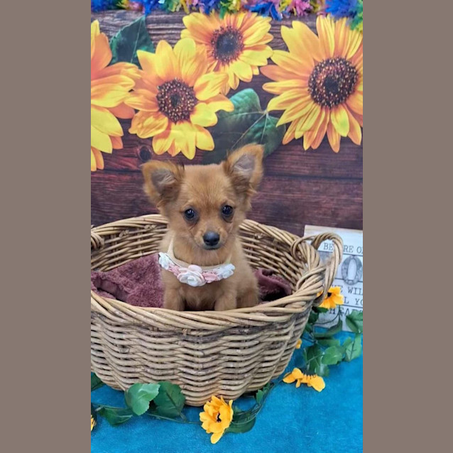 Photo of Mimi