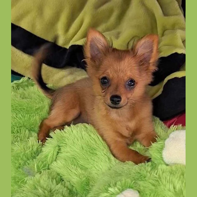 Photo of Mimi