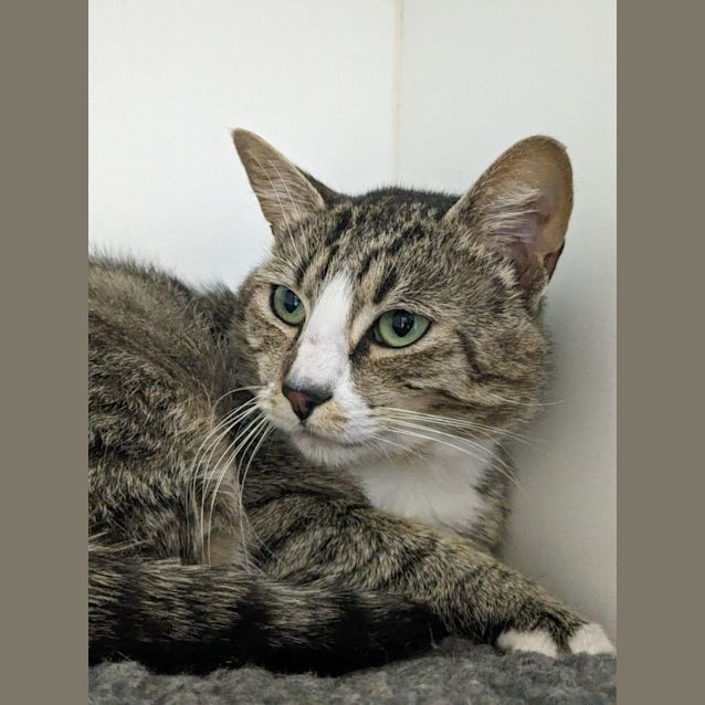 Photo of 🍭 Juno F02742 🍭