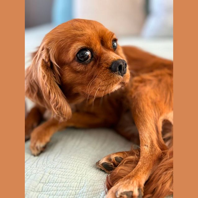 Photo of Molly