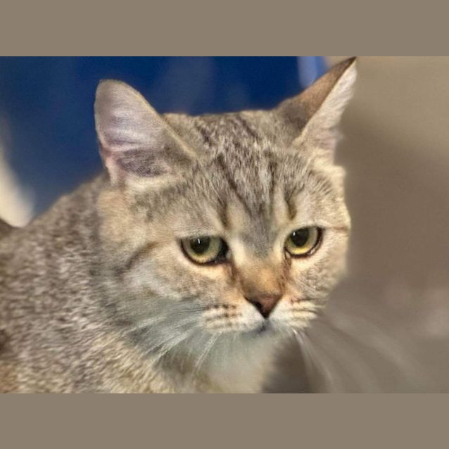 Photo of Caitir (Katie)