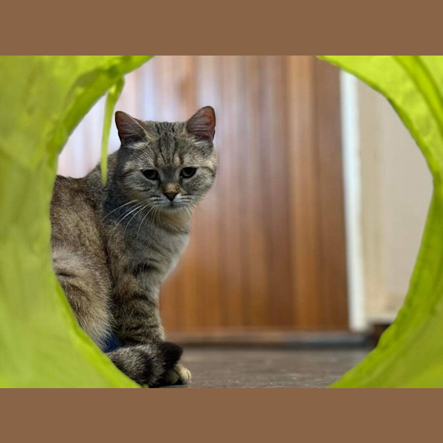 Photo of Caitir (Katie)