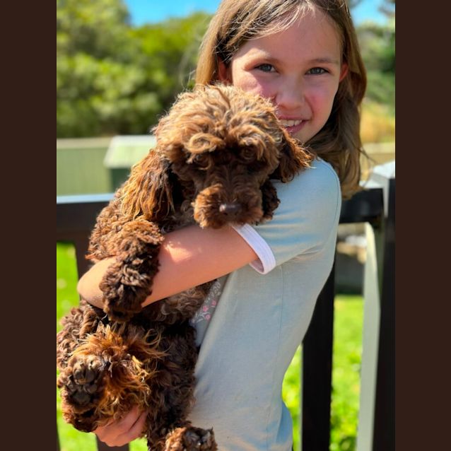 Photo of Marley