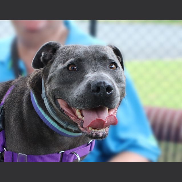Photo of Mack