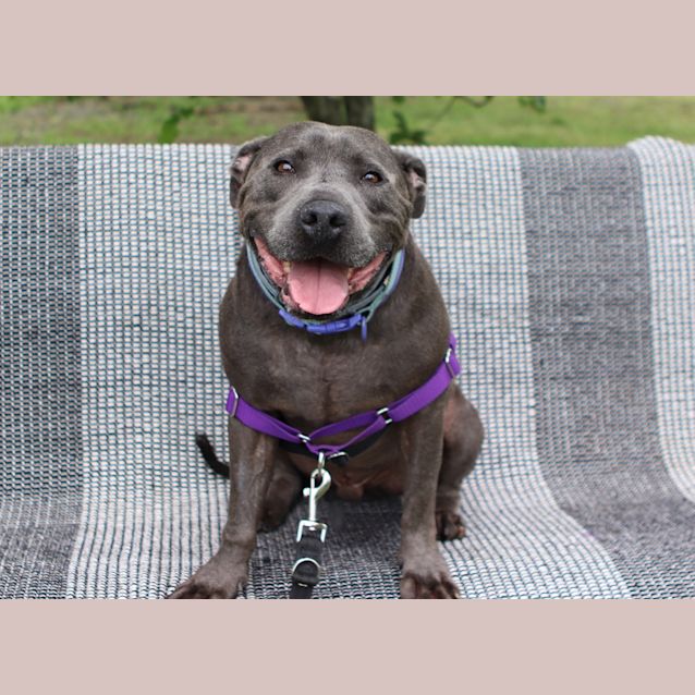 Photo of Mack