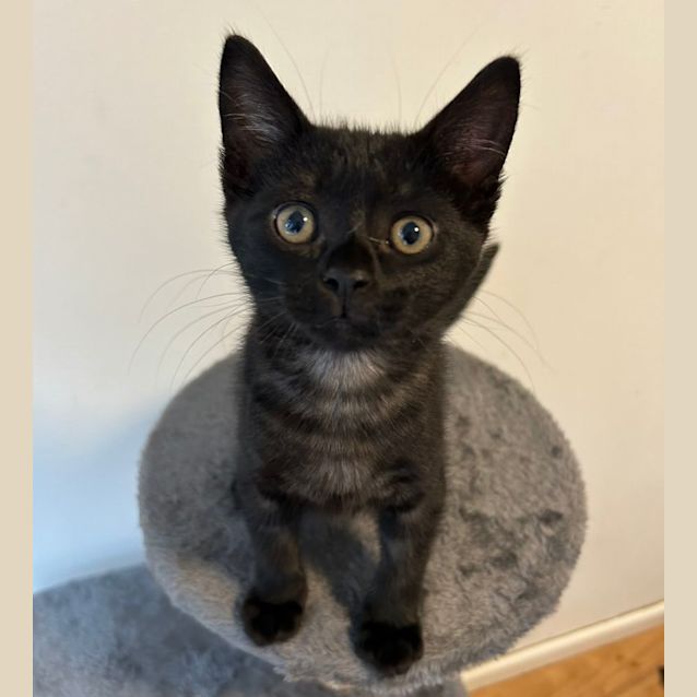 Photo of Midnight ❤️