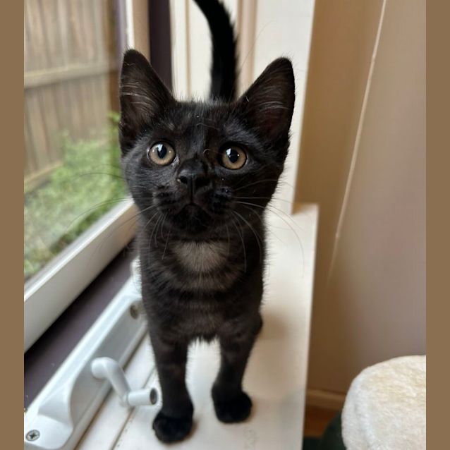 Photo of Midnight ❤️