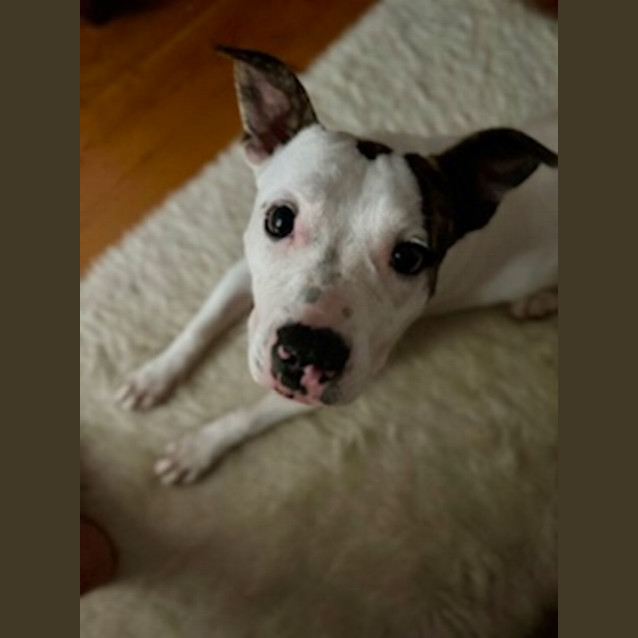 Photo of Essie