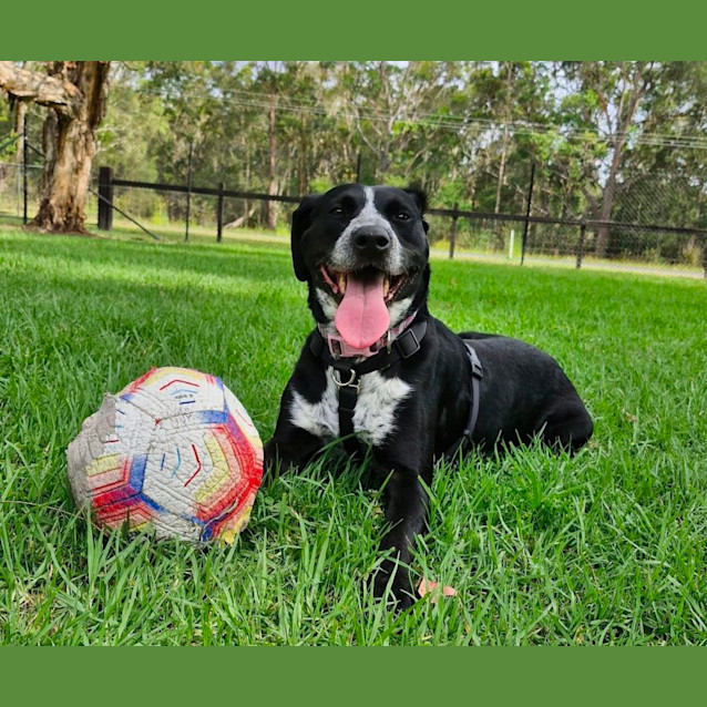 Photo of Eadie