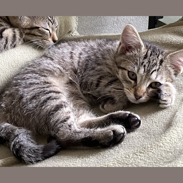 Photo of Lilly