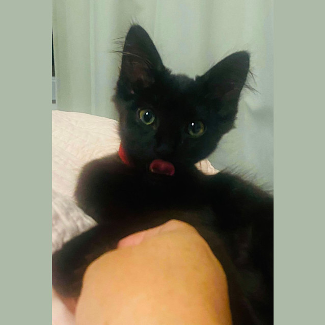 Photo of Anika (Annie)