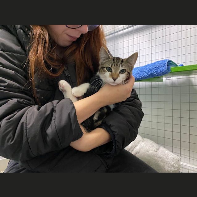 Photo of Oliver