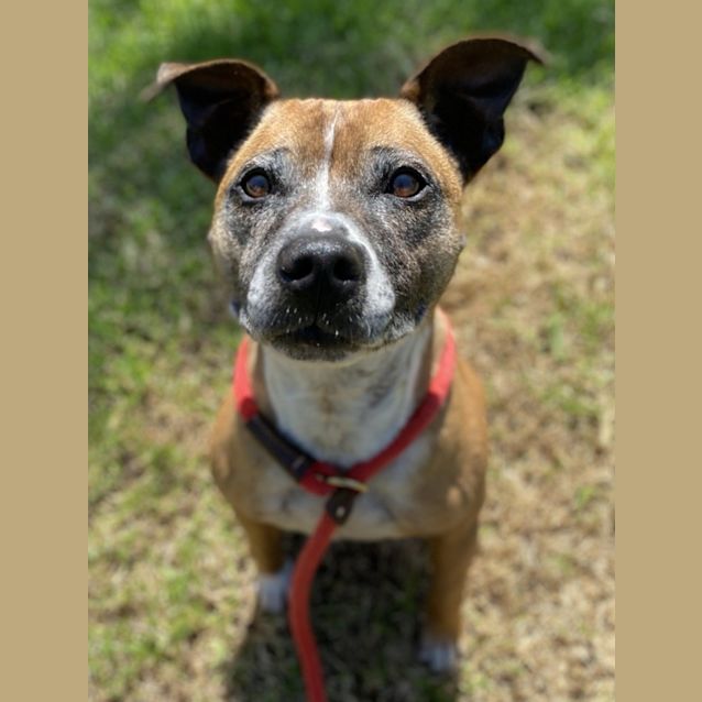 Photo of Rosie