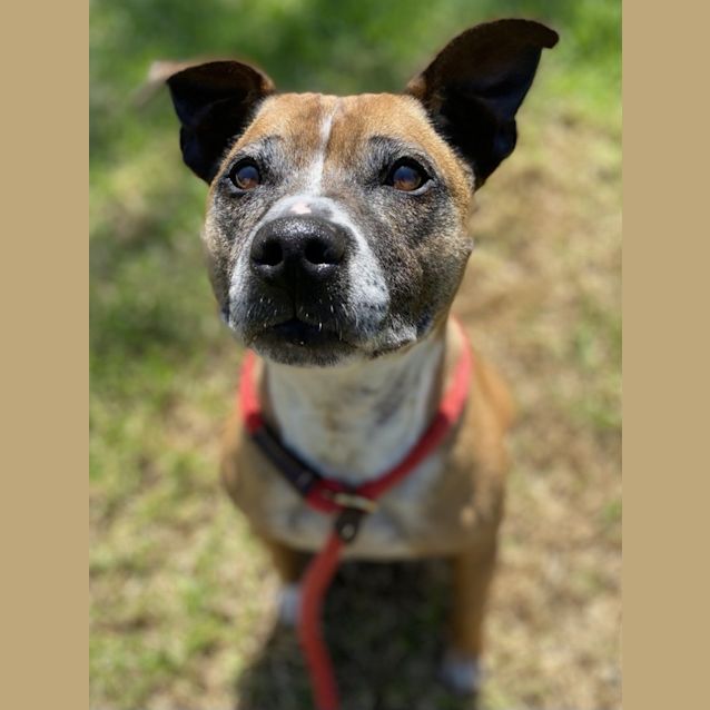 Photo of Rosie