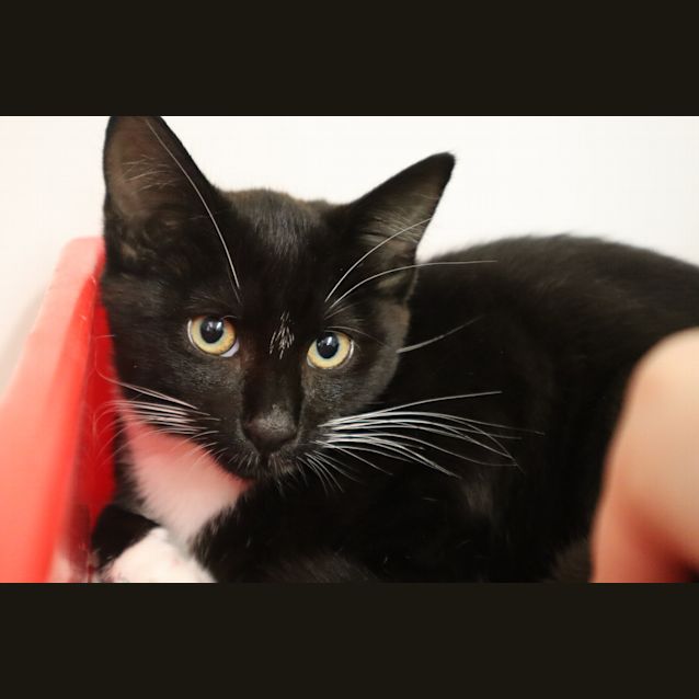 Photo of Bob