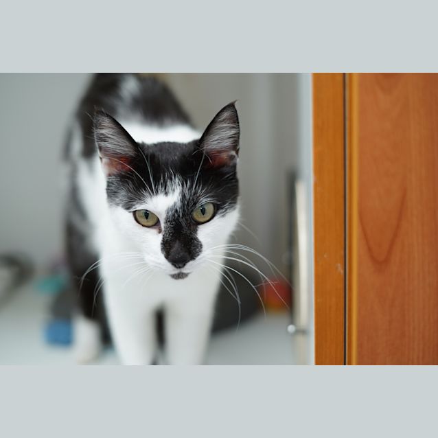 Photo of Mari