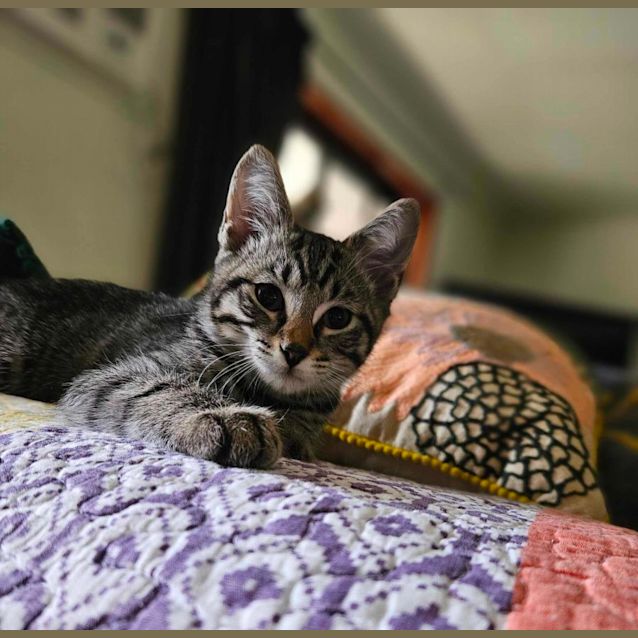 Photo of Wills And Harry