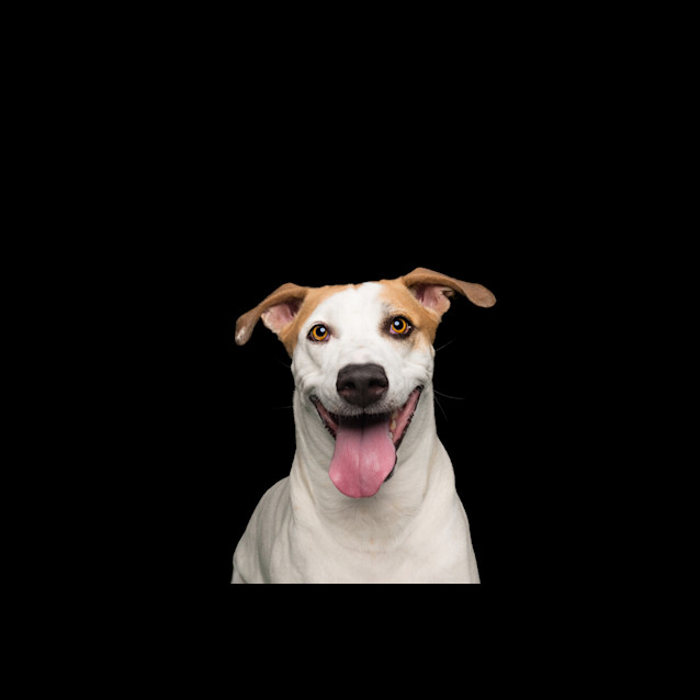 Photo of Rhonda