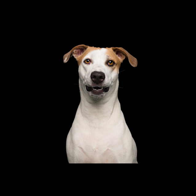 Photo of Rhonda
