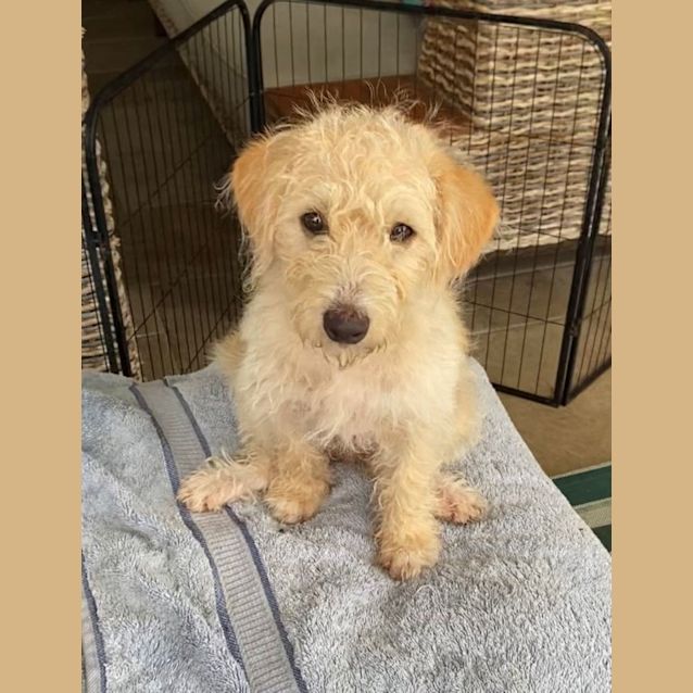 Photo of D935 Kingston