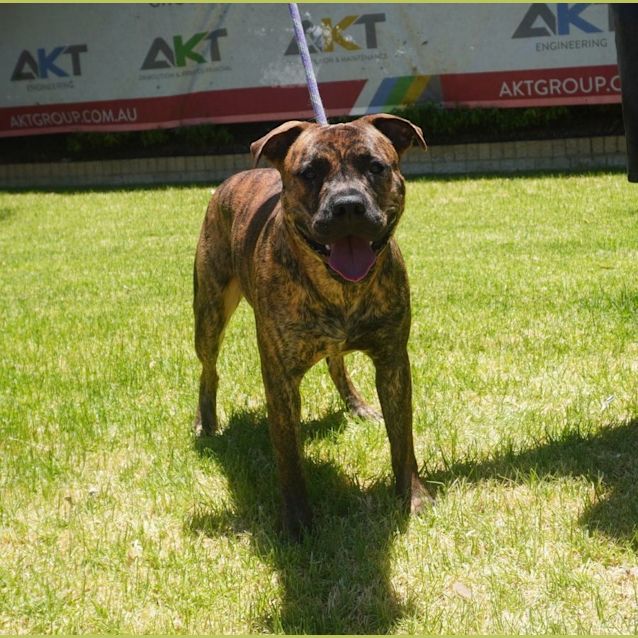 Photo of Leon