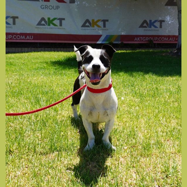 Photo of Shilo