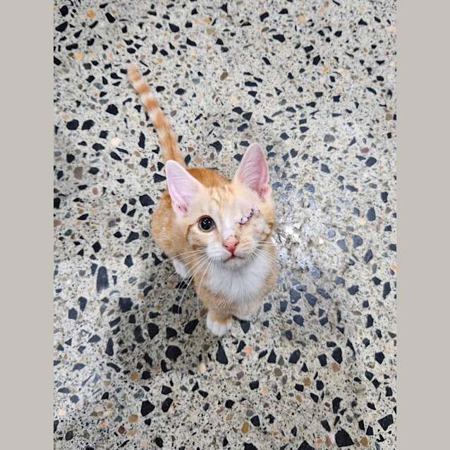 Photo of Bubbles